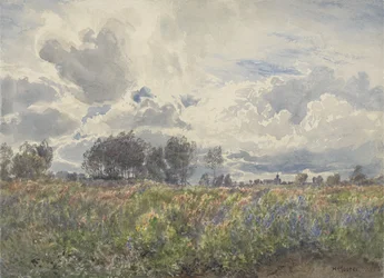 Regnfuld juni, Picardie, ca. 1870